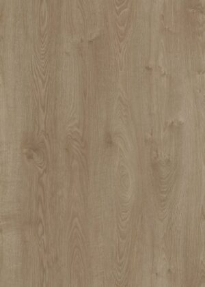 AGT Effect – Solaro