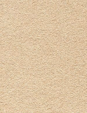 Riviera Twist – Champagne