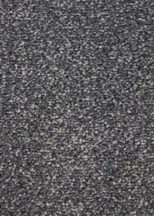 Trafalgar – Shadow