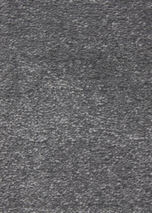 Harmony – Silver Blaze