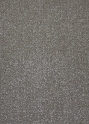 Champagne – Truffle